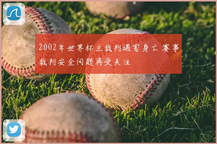 2002年世界杯主裁判遇害身亡 赛事裁判安全问题再受关注